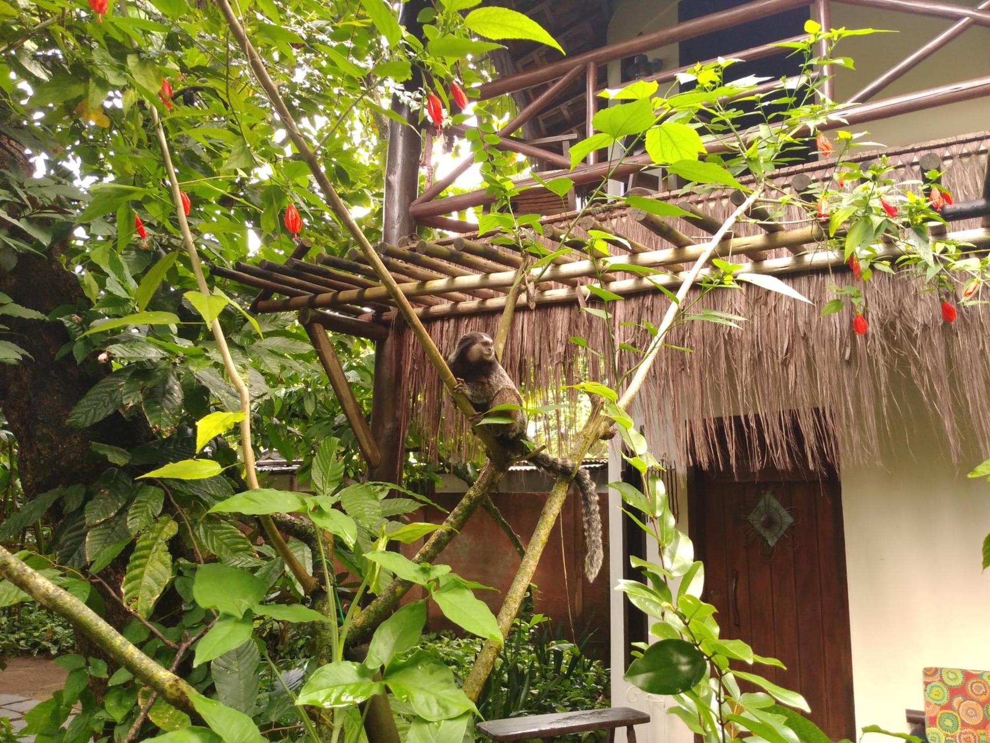 Pousada Fruta Pao Hotel Barra Grande  Eksteriør billede